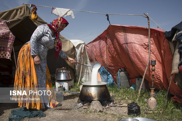 تامین آب شرب بهداشتی مناطق عشایری تهران/ انتقال آب لوله کشی و اختصاص ۱۰۰ پنل خورشیدی برای عشایر