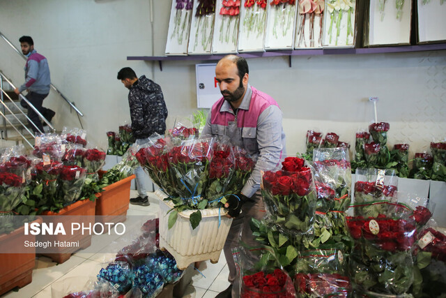 امکان افزایش ماندگاری گُل‌های چیده شده در آب 