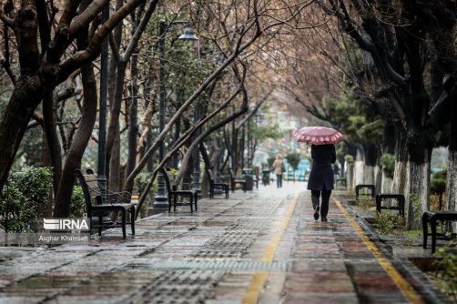 بارش باران و کاهش نسبی دما در نوار شمالی کشور